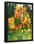 Essential Black