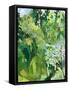 Framed Canvas