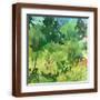 Brown Frame