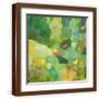 Brown Frame