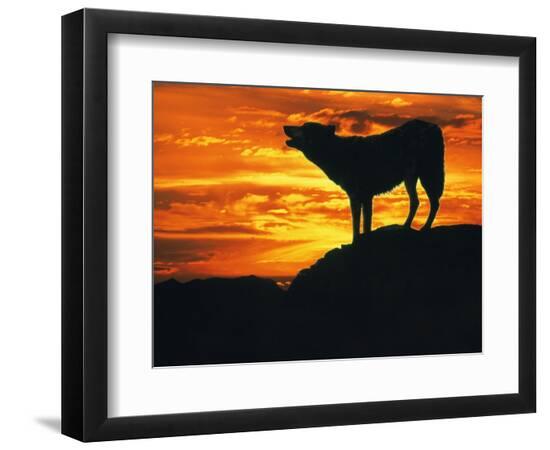 Premium Photographic Print, , large