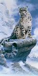 High Spirit - Snow Leopard-Kim Thompson-Framed Giclee Print