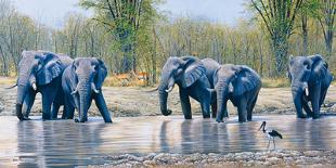 Nogatsaa Waterhole-Kim Thompson-Giclee Print