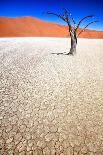 Dead Black Trees in the Desert Landscape. Surreal Scenic in Amazing Unreal Landscape. Sossusvlei, D-Kim Visser-Framed Photographic Print