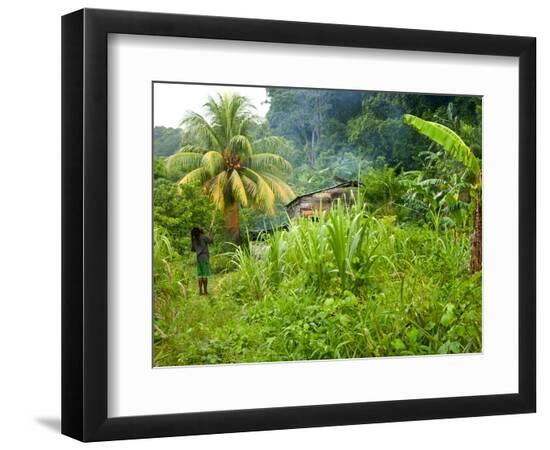 Premium Photographic Print, , large
