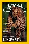 Cover of the October, 2001 National Geographic Magazine-Kim Wolhuter-Photographic Print