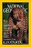 Cover of the October, 2001 National Geographic Magazine-Kim Wolhuter-Framed Stretched Canvas