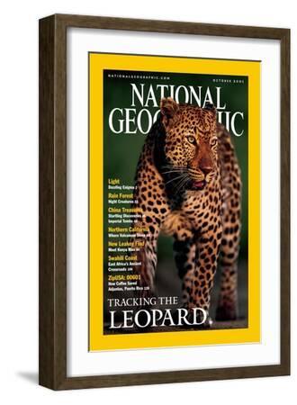 2001 WORLD PRESS PHOTO 洋書 報道写真 写真集 World Press Photo 2001 – Fondazione Sozzani