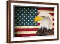 Brown Frame