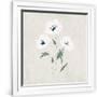Gramercy White