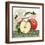 Brown Frame