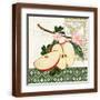 Brown Frame