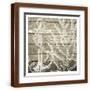Brown Frame