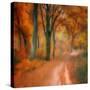 Stretched Canvas