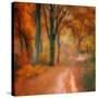 Stretched Canvas