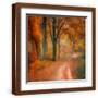 Brown Frame