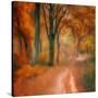 Stretched Canvas
