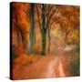 Stretched Canvas
