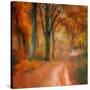 Stretched Canvas