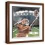 Brown Frame