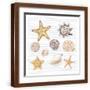 Brown Frame