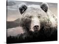 Stretched Canvas