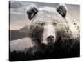 Stretched Canvas