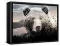 Canvas Black
