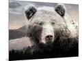 Wood Mount