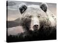 Stretched Canvas