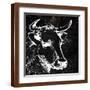 Brown Frame