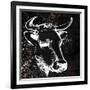 Gramercy Black