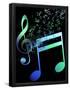 Essential Black