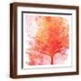 Brown Frame
