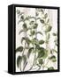 Canvas Black