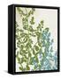 Framed Canvas