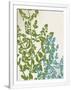 Gramercy White