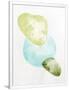Gramercy White