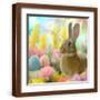 Brown Frame
