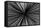 Canvas Black