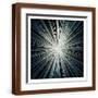 Brown Frame