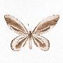 Laminate