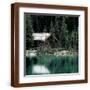 Brown Frame
