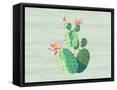 Framed Canvas