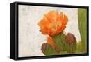 Framed Canvas