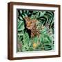 Brown Frame