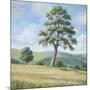 Wood Mount