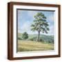 Brown Frame