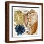 Brown Frame