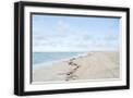 Black Frame